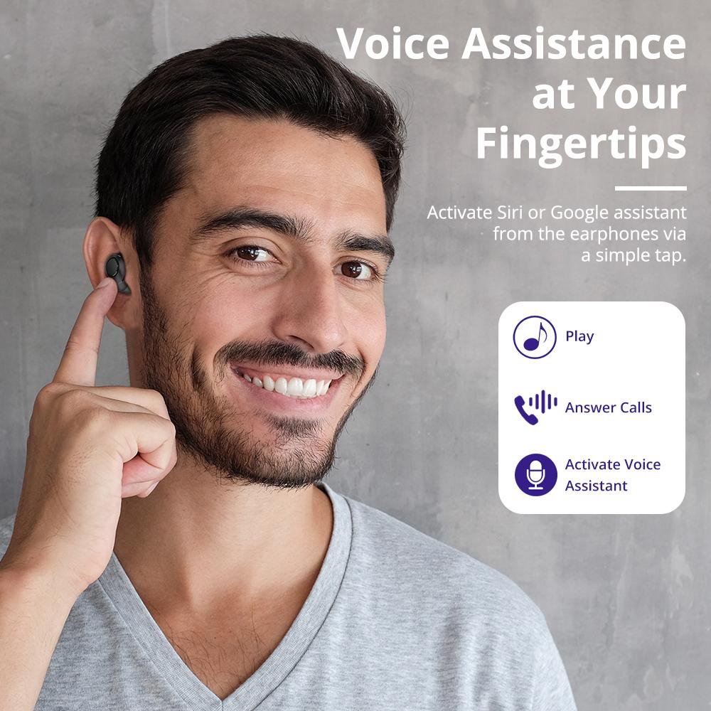 voice assistant